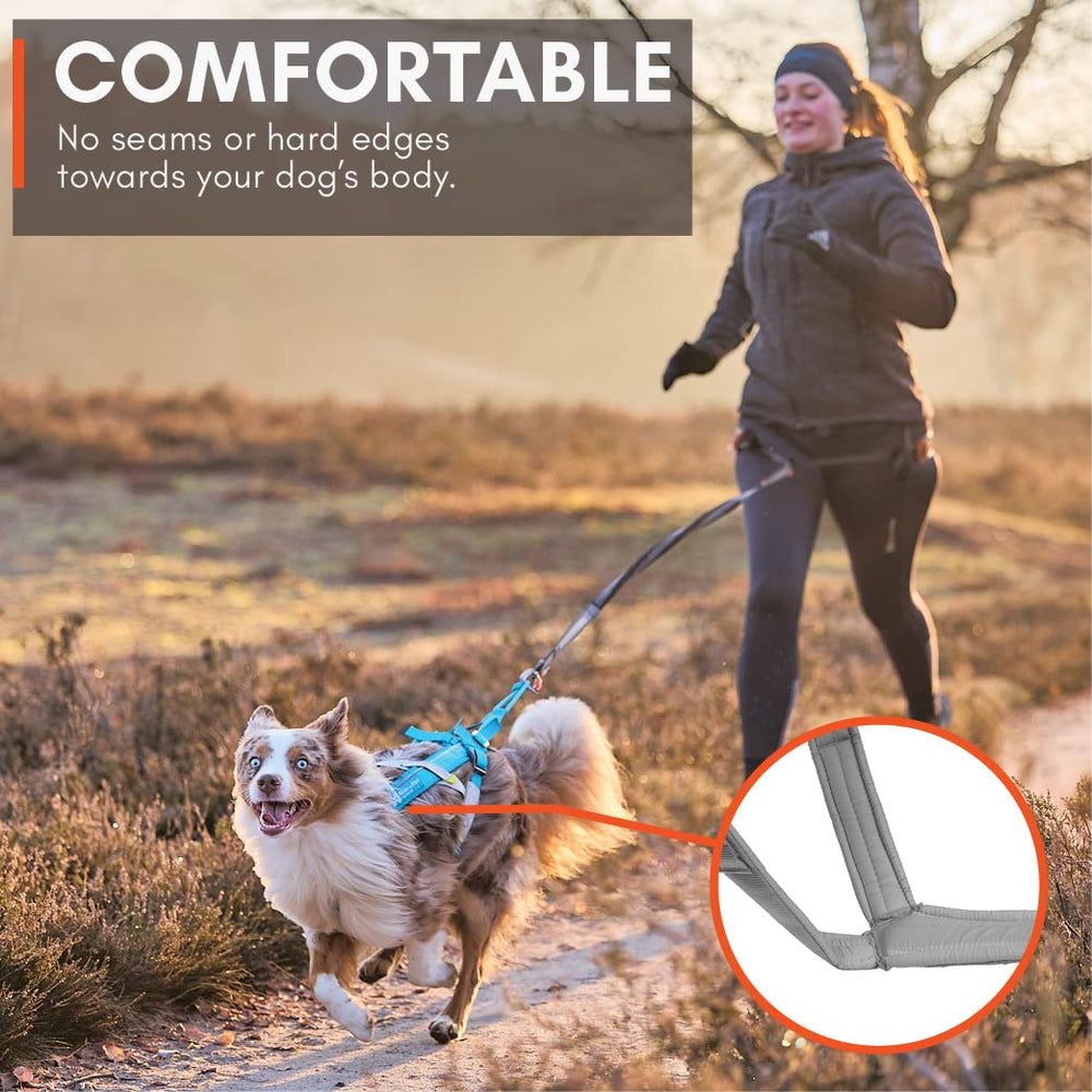 Non-stop dogwear Freemotion Harness reflective piping improves visibility in low light