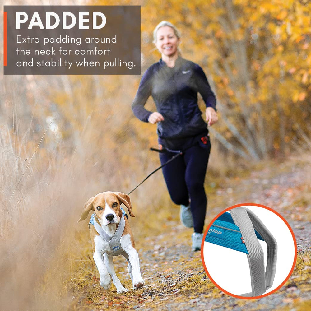 Non-stop dogwear Freemotion Harness safety-light attachment loop for night runs