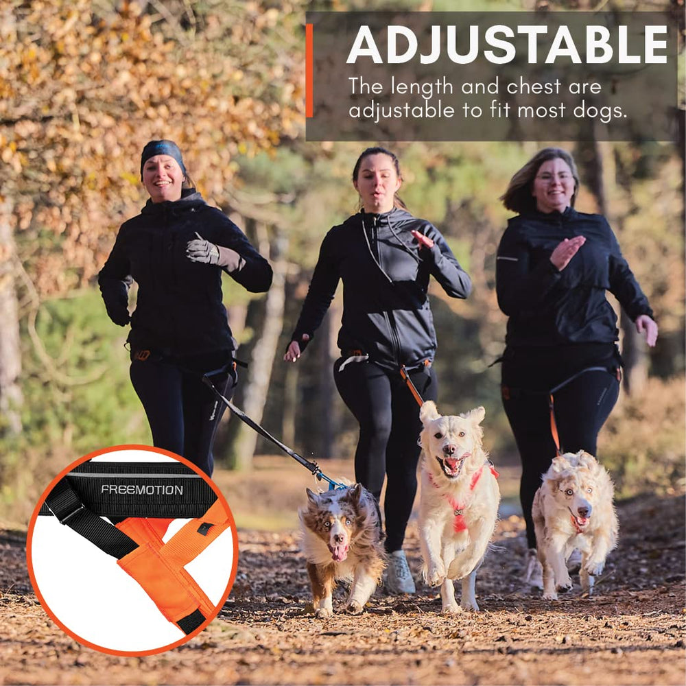 Non-stop dogwear Freemotion Harness side pull distribution reduces strain during workouts