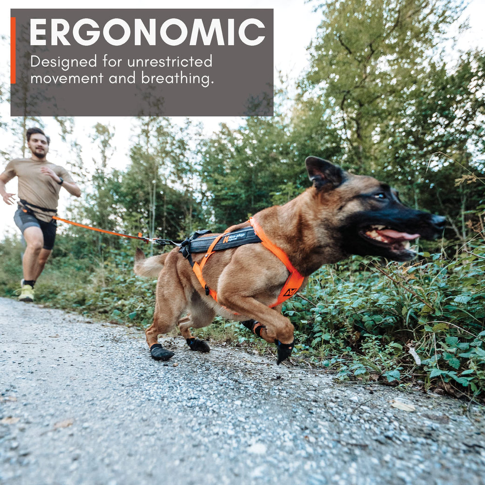 Non-stop dogwear Freemotion Harness Y-neck ergonomics allowing shoulder freedom