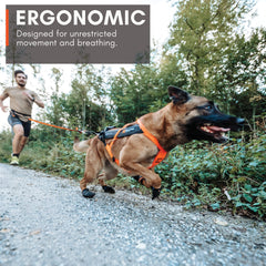 Non-stop dogwear Freemotion Harness Y-neck ergonomics allowing shoulder freedom