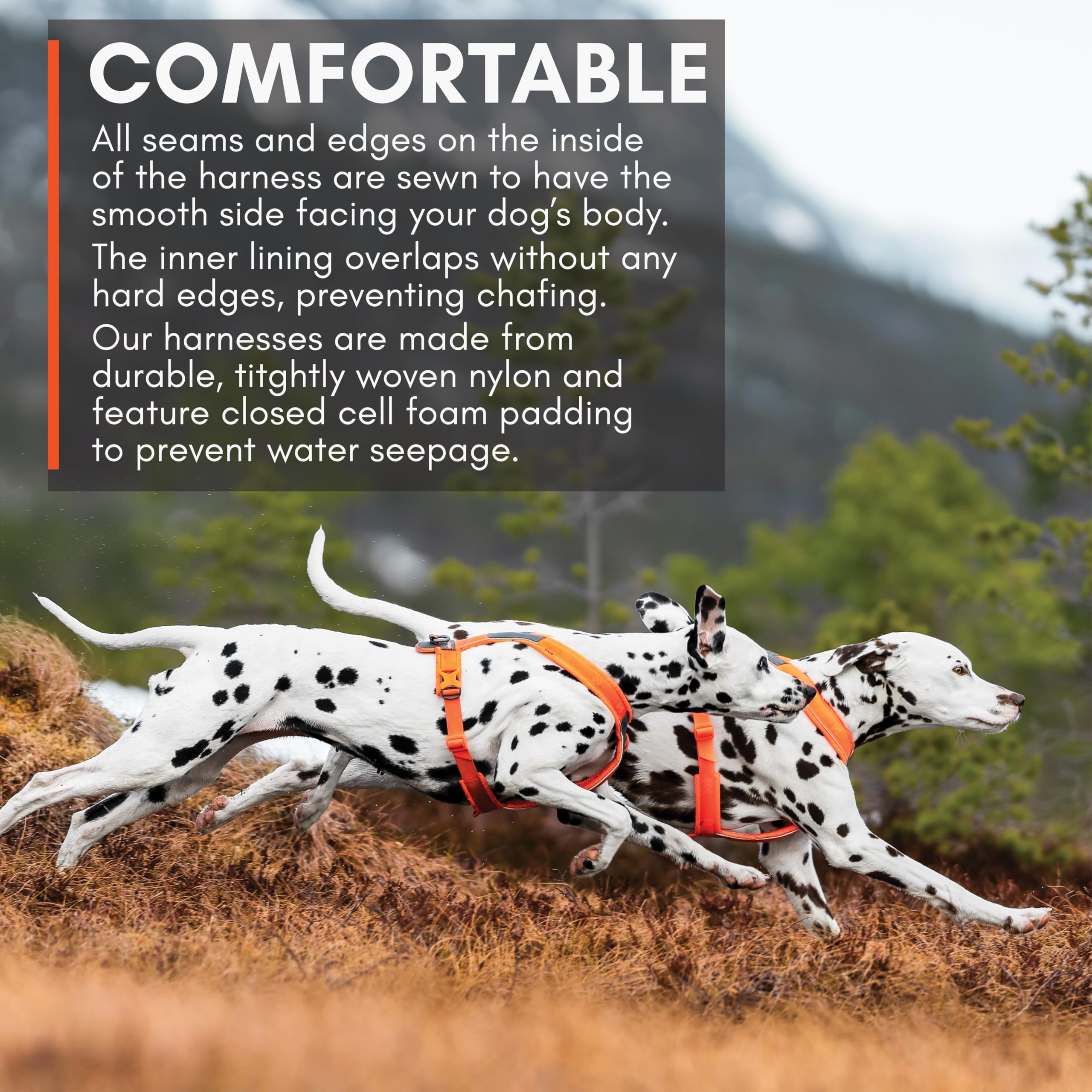 Non-stop dogwear Line Harness 5.0 3M reflectors boost visibility in low light