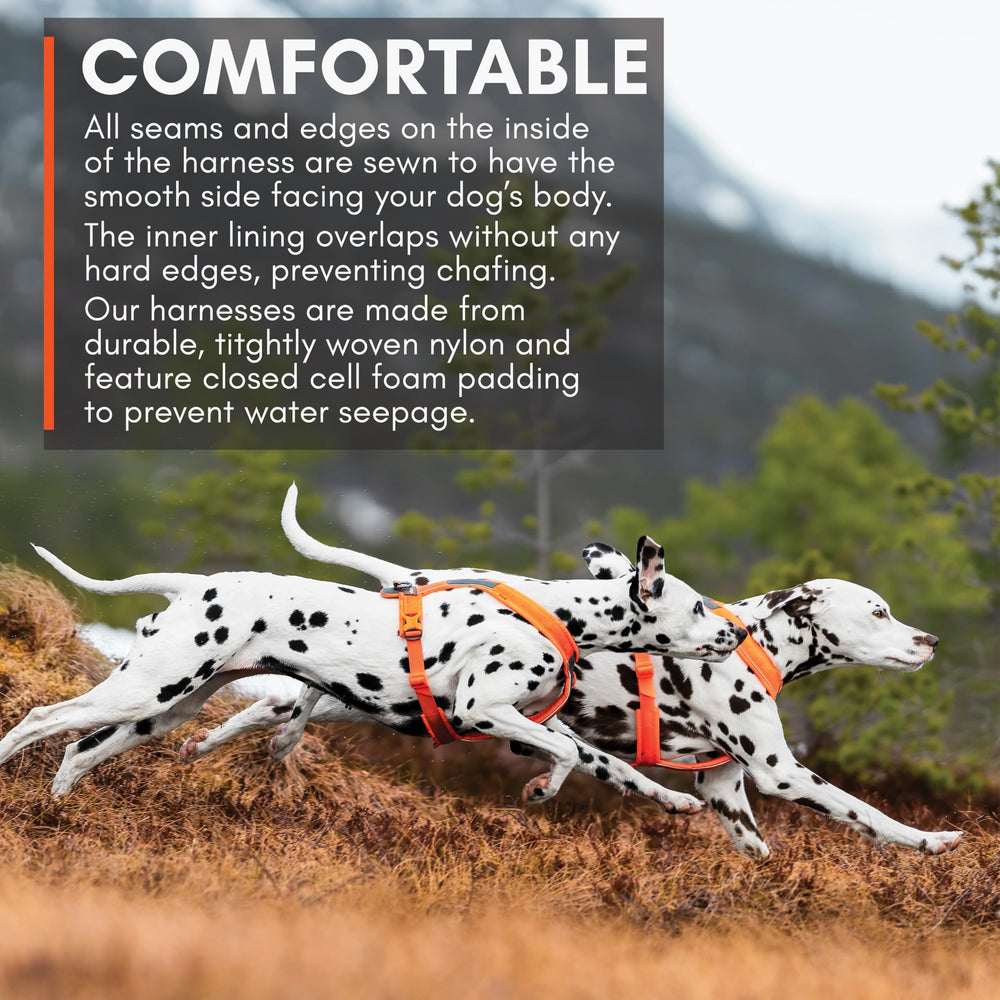 Non-stop dogwear Line Harness 5.0 3M reflectors boost visibility in low light