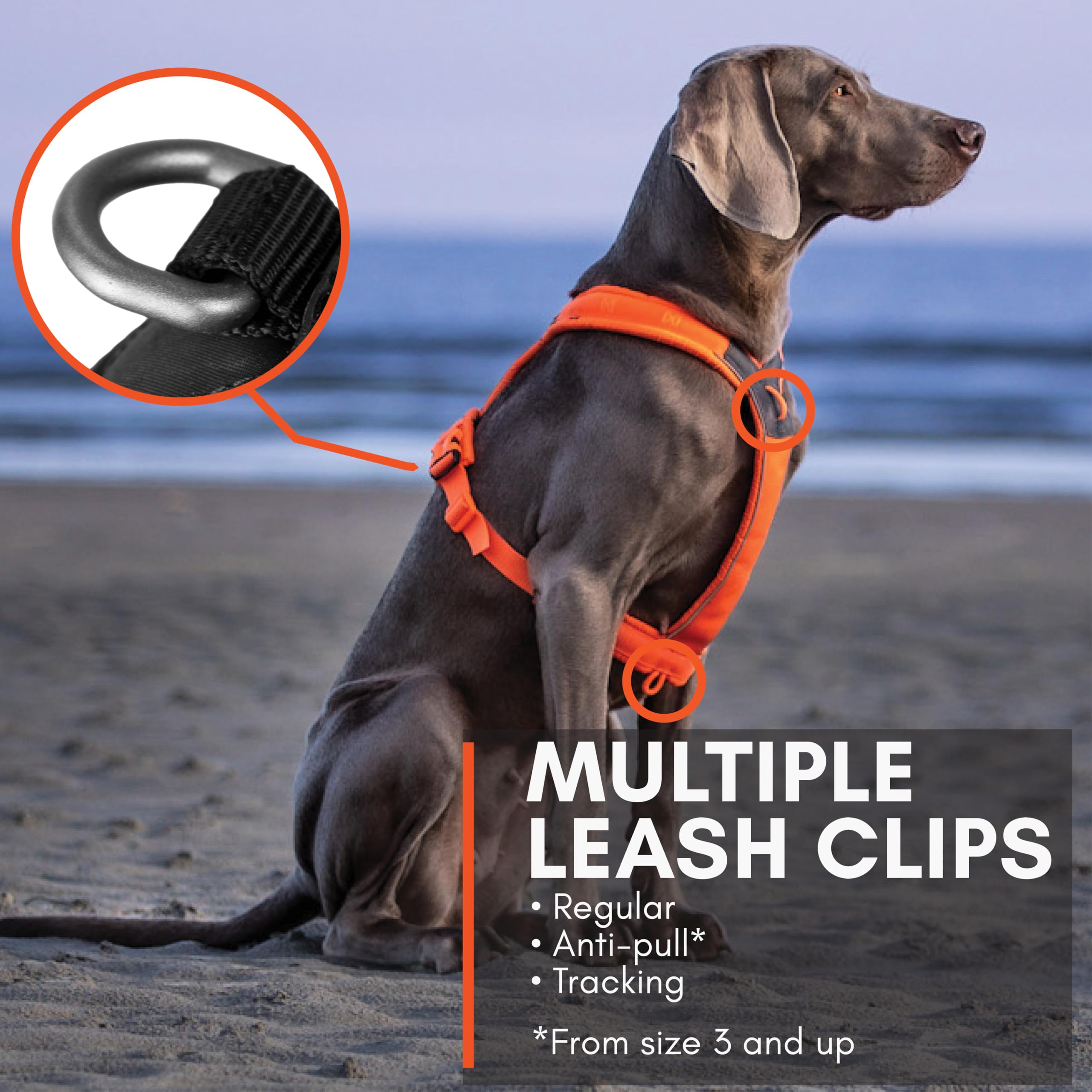 Non-stop dogwear Line Harness 5.0 ergonomic Y-neck promoting unrestricted movement