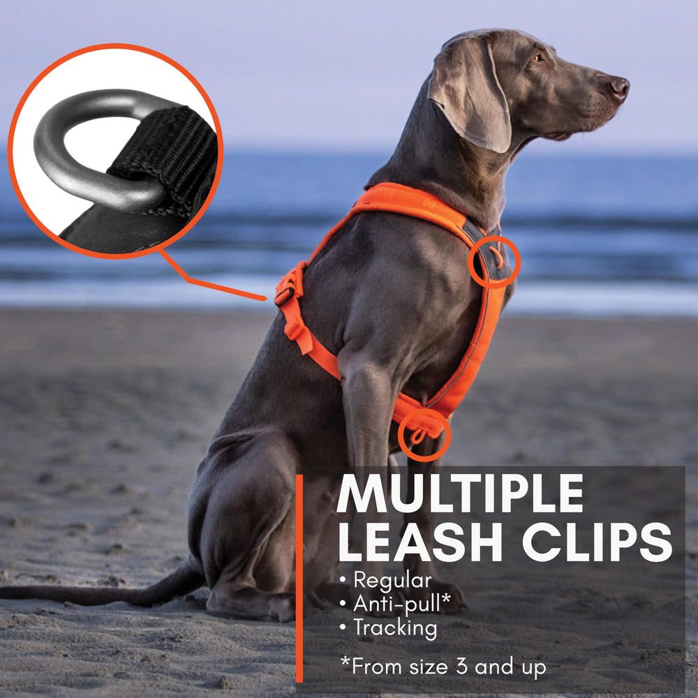 Non-stop dogwear Line Harness 5.0 ergonomic Y-neck promoting unrestricted movement
