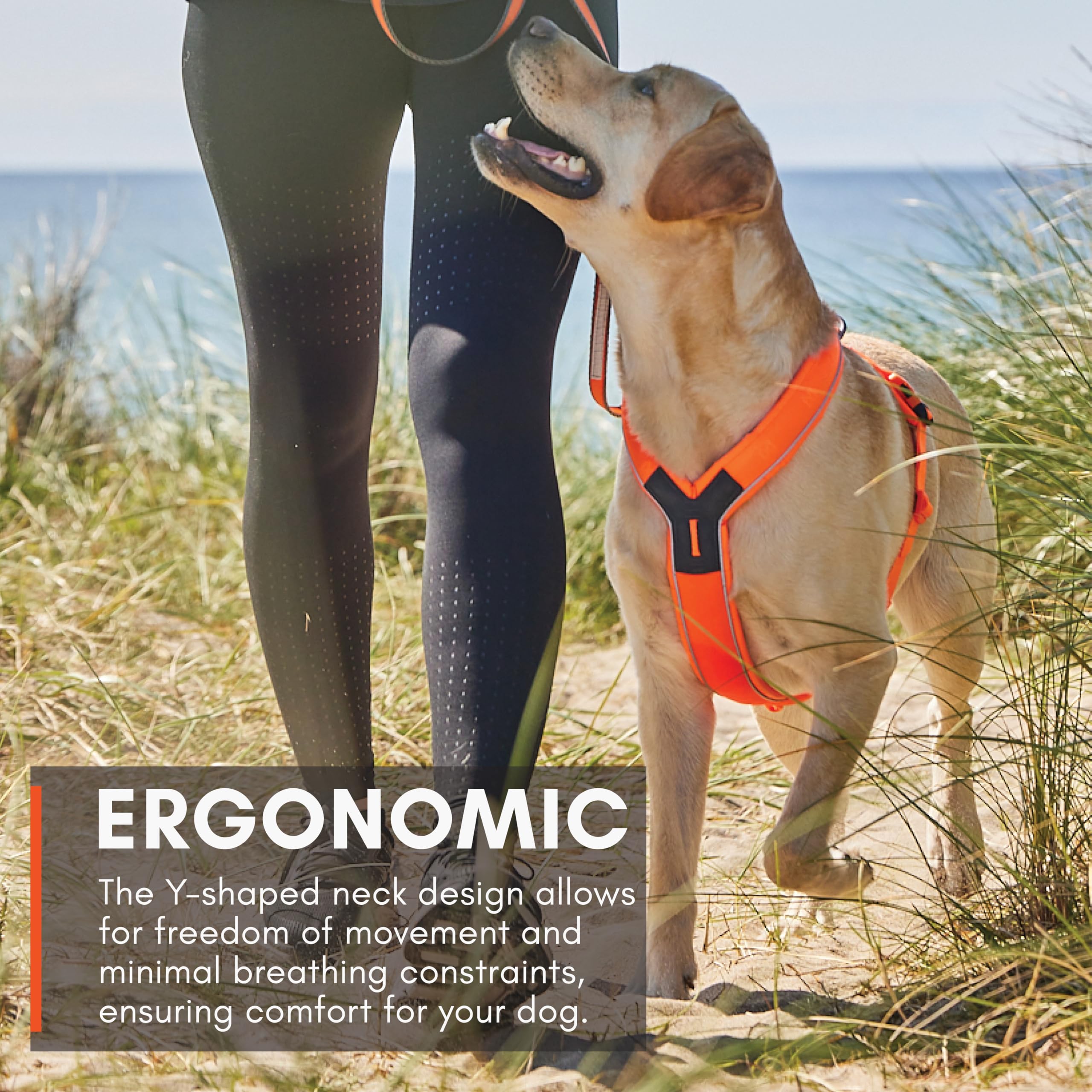 Non-stop dogwear Line Harness 5.0 padded neck area for comfortable all-day wear