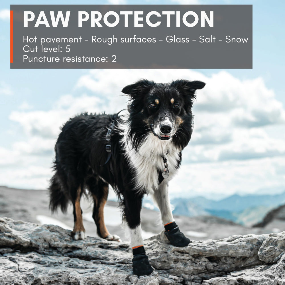 Non-stop dogwear Protector Booties on dog paw fit for secure active use.