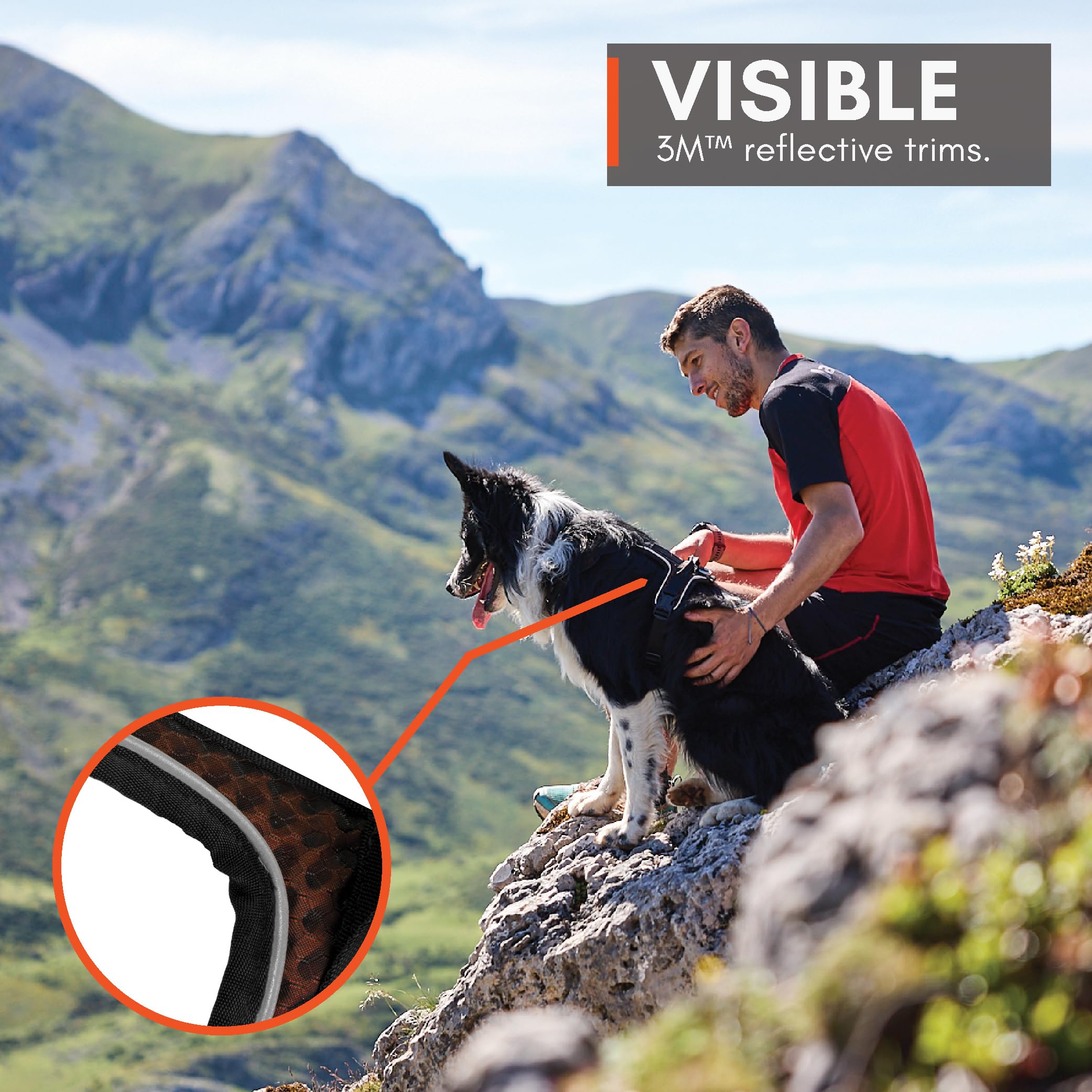 Non-stop dogwear Rock Harness adjustable-neck-chest for secure fit