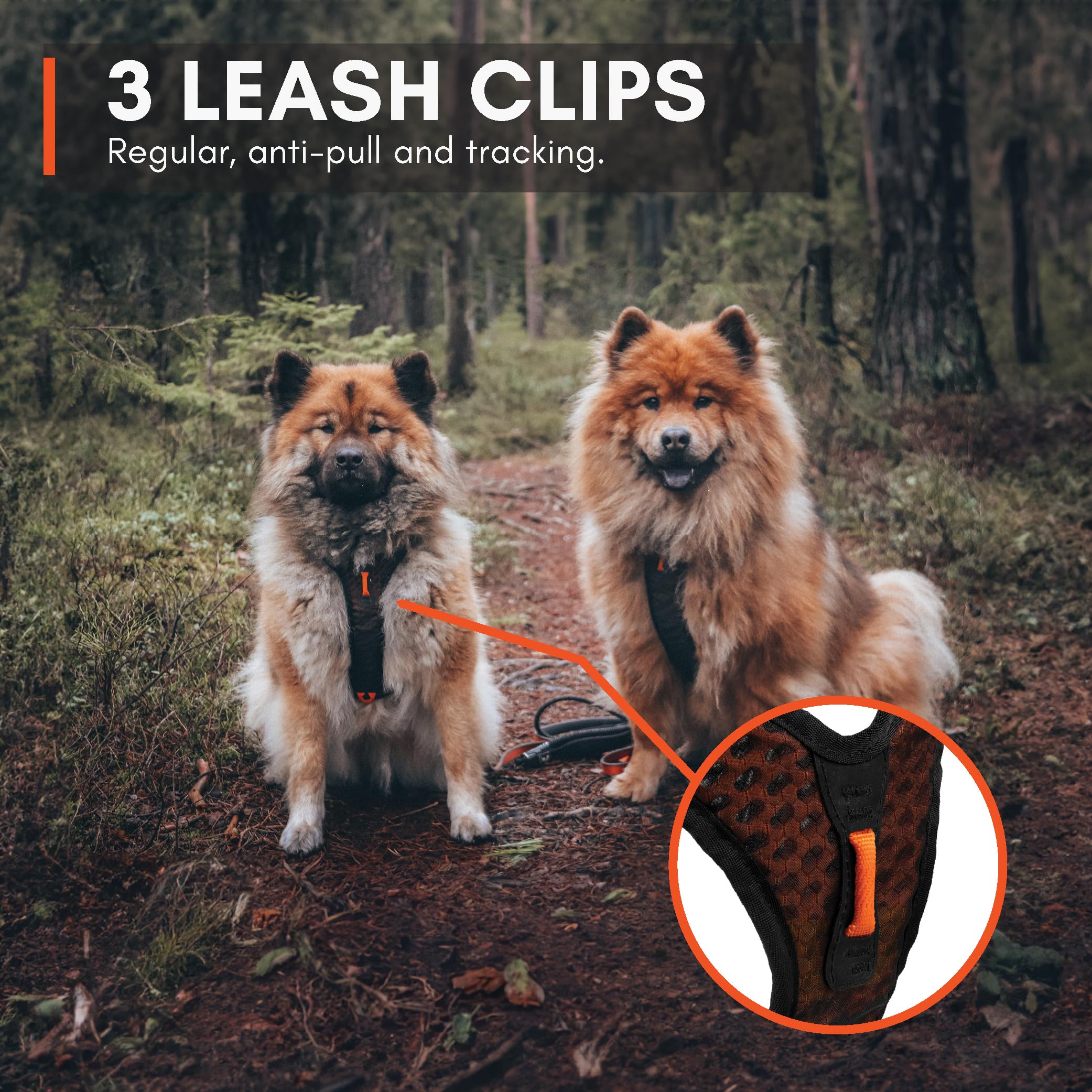 Non-stop dogwear Rock Harness handle provides quick assist and controlled stops