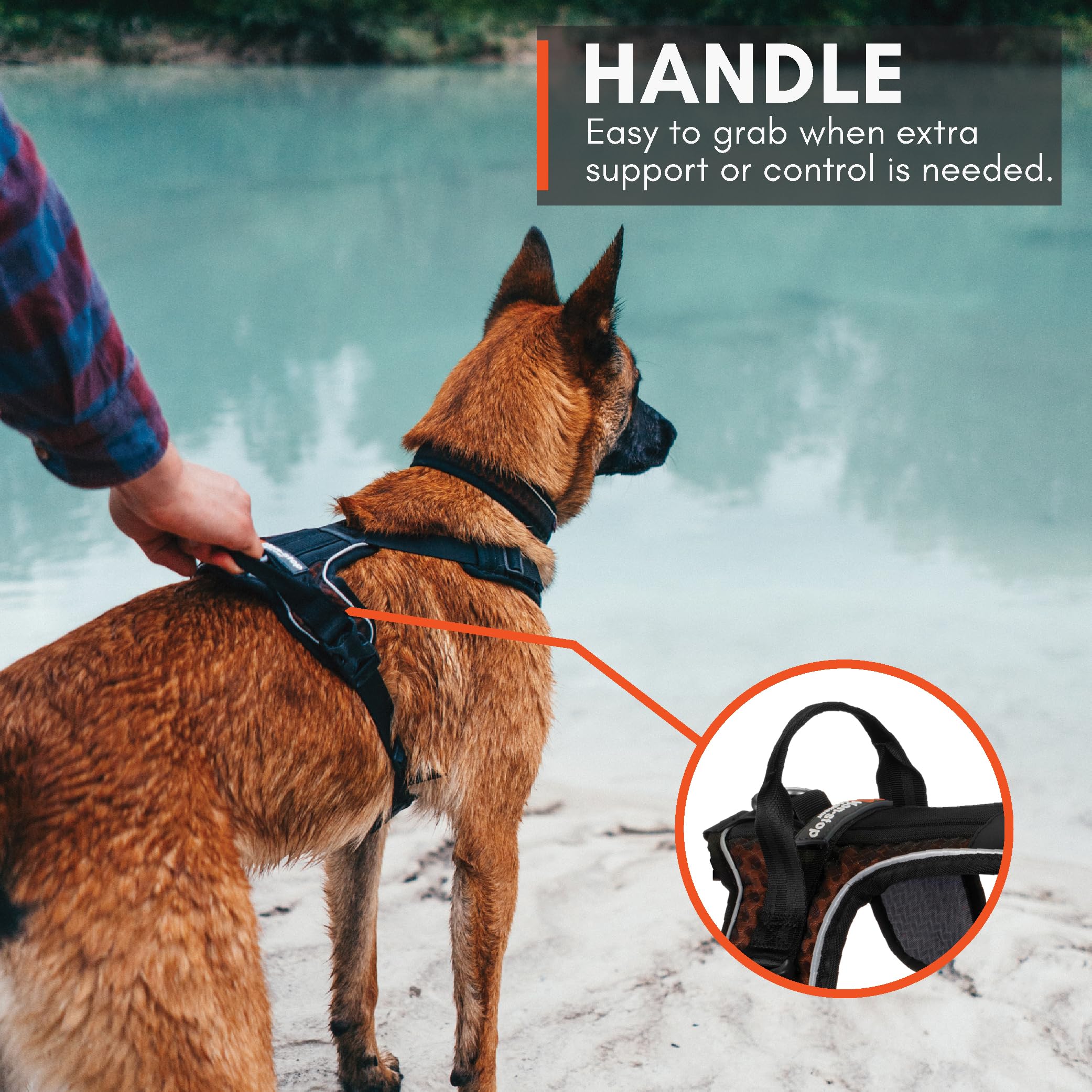 Non-stop dogwear Rock Harness size-m-fit for medium dogs