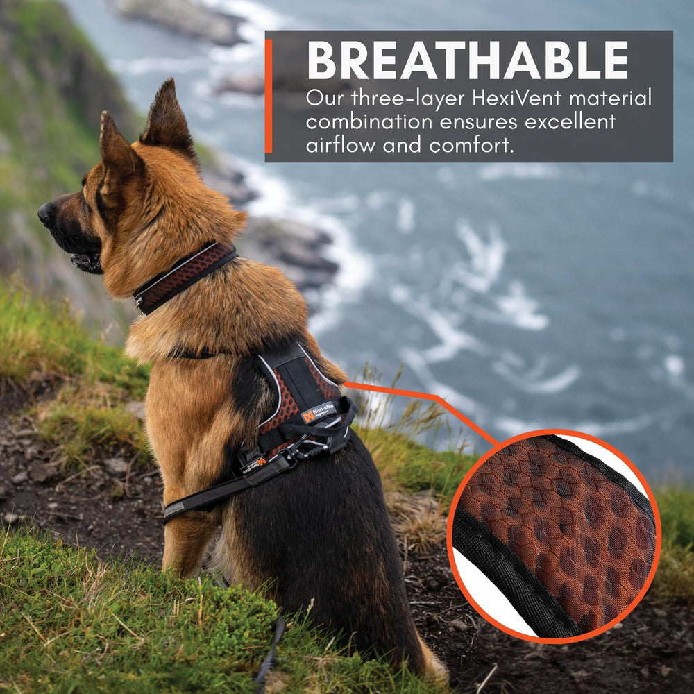 Non-stop dogwear Rock Harness three-leash-points for flexible training