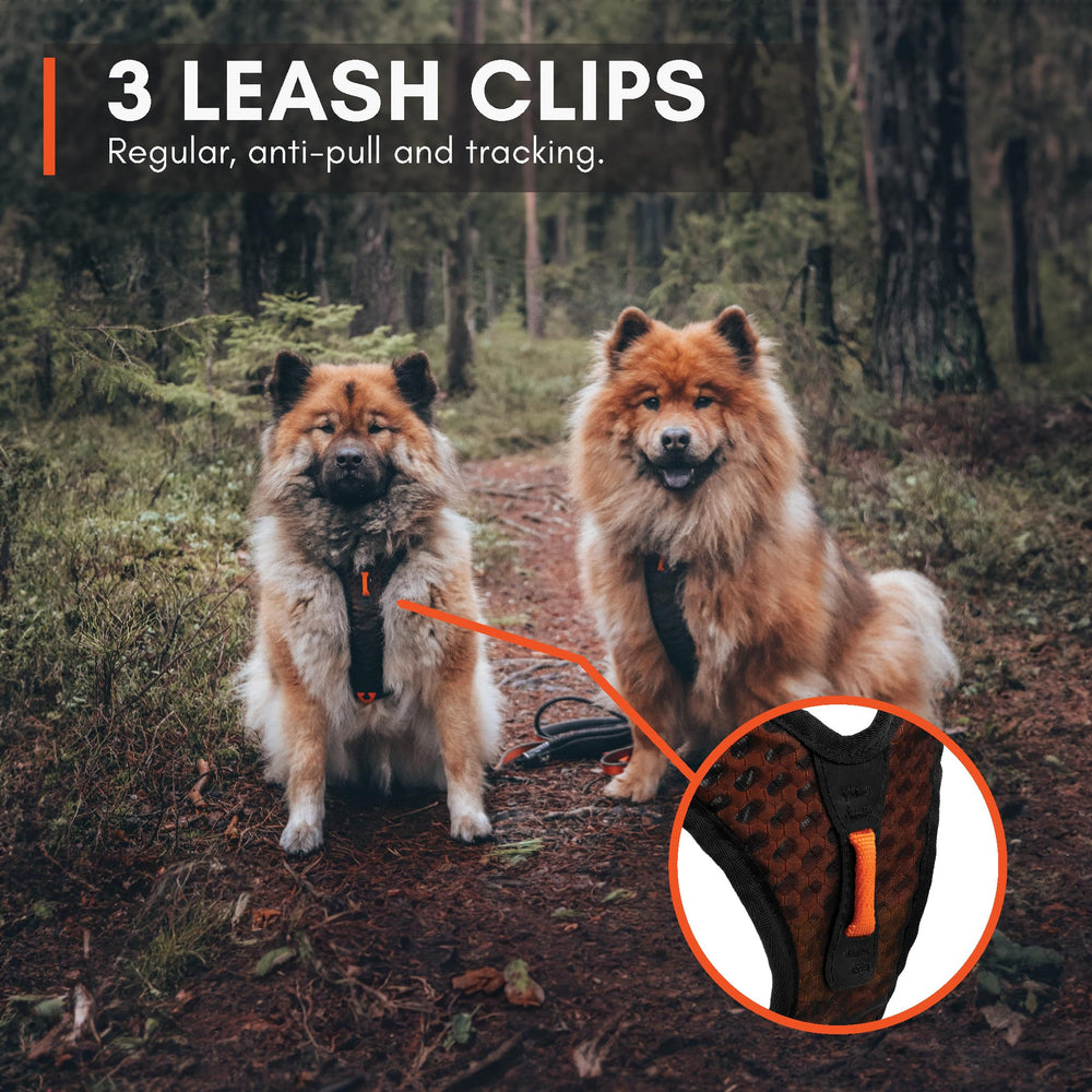 Non-stop dogwear Rock Harness XS breathable material stays comfortable on warm days.