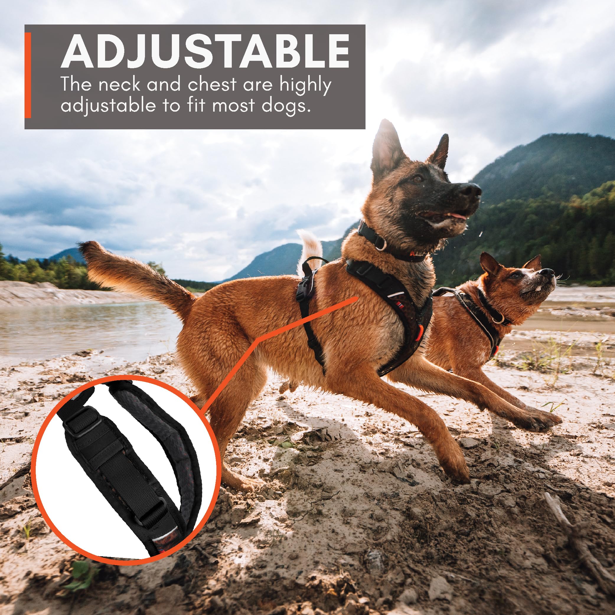 Non-stop dogwear Rock Harness XS ergonomic Y-neck reduces shoulder strain during runs.