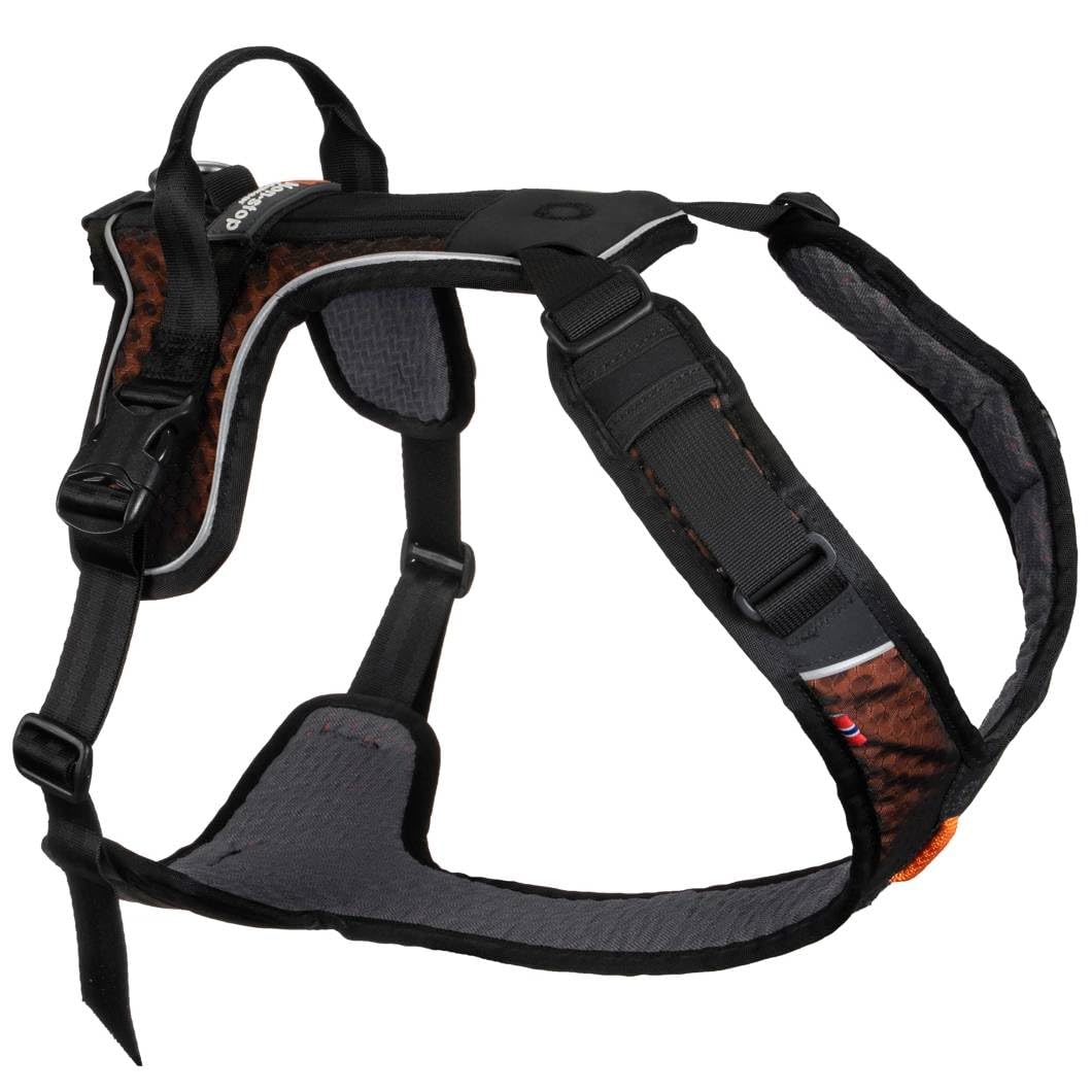 Non-stop dogwear Rock Harness XS handle provides quick lift assistance during transfers.