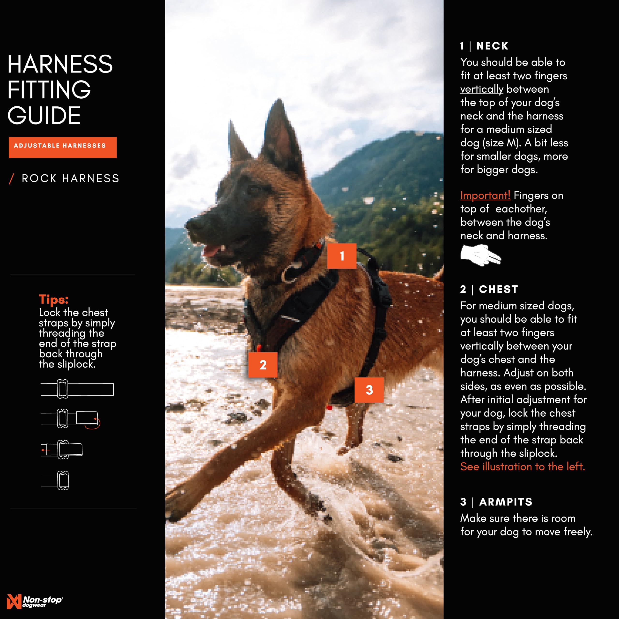 Non-stop dogwear Rock Harness XS reflective stripes improve visibility in low light.