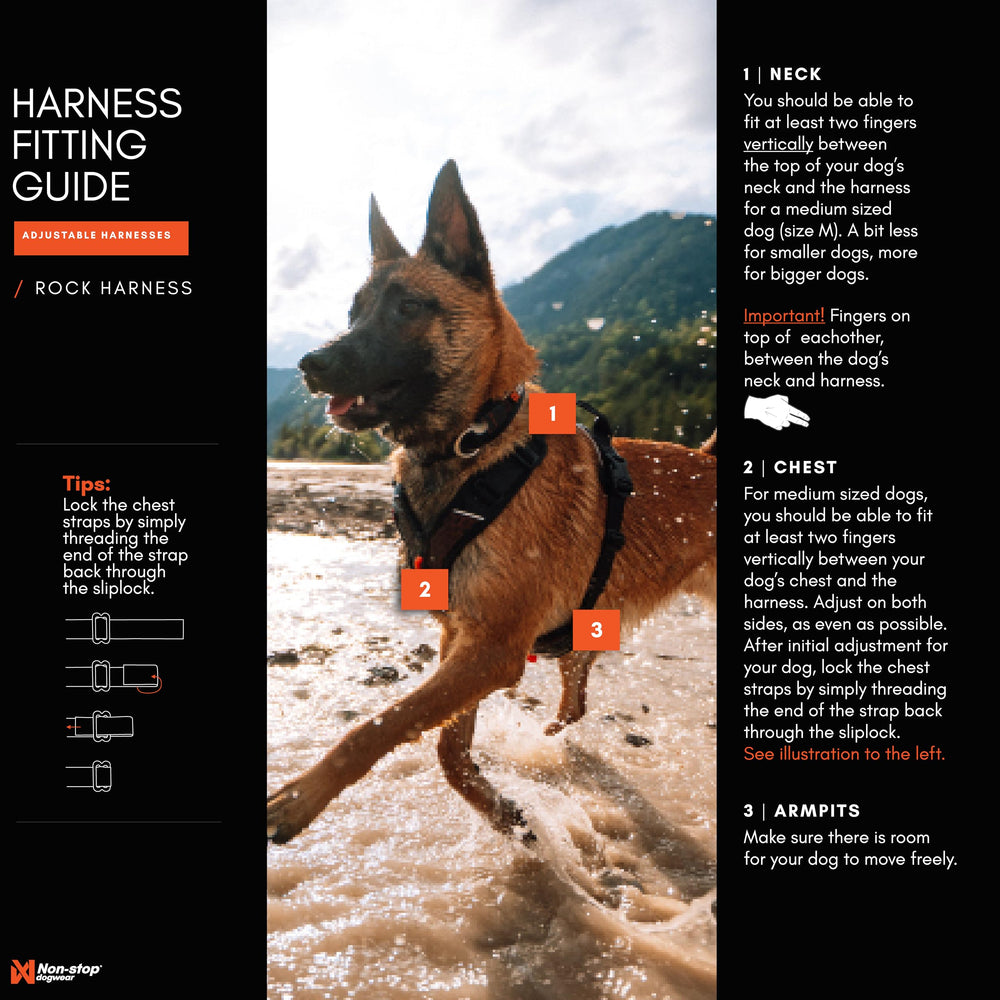 Non-stop dogwear Rock Harness XS reflective stripes improve visibility in low light.