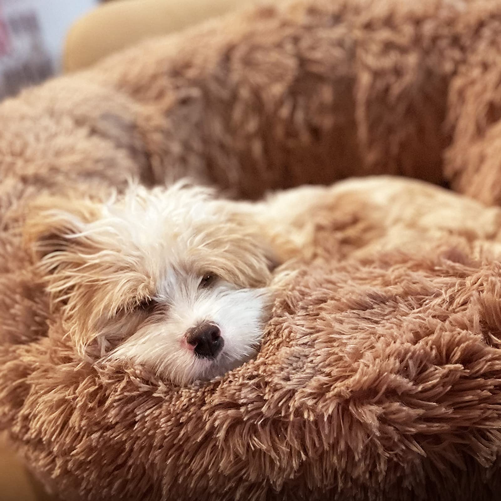 Nononfish pet bed bottom is water and dirt‑resistant to protect floors.