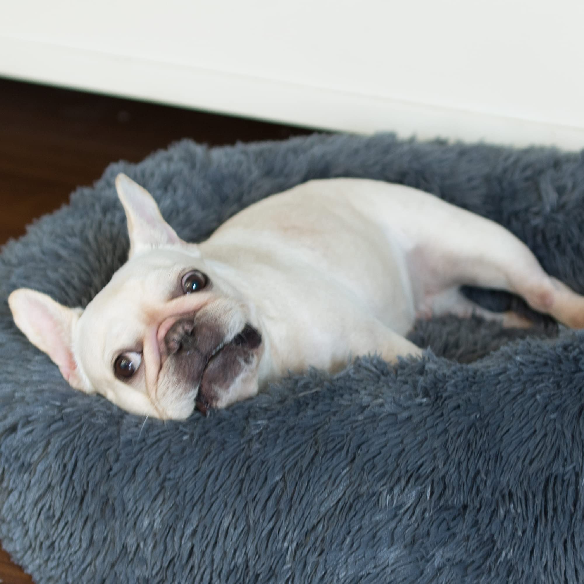 nononfish puppy bed curling and nesting use for small pets