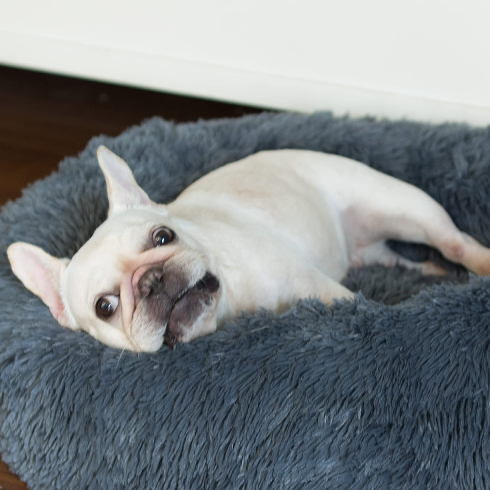 nononfish puppy bed curling and nesting use for small pets