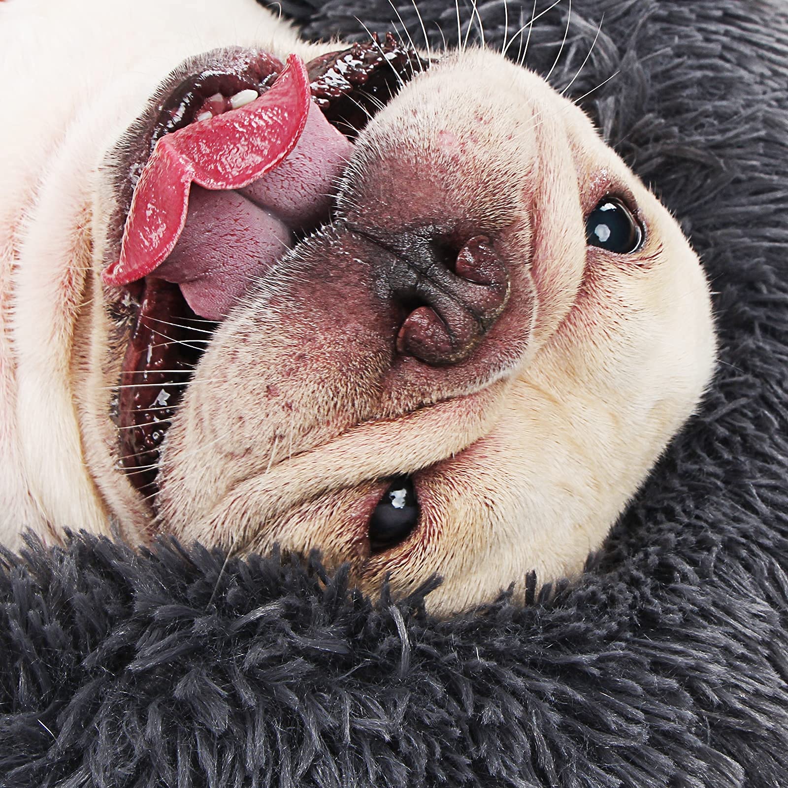 Nononfish small calming dog bed machine washable image highlights easy care