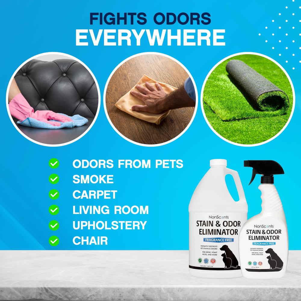 NonScents carpet spot cleaning application demonstrating stain treatment