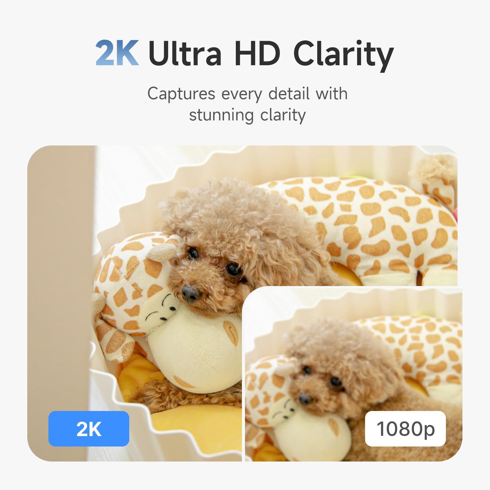 Noorio CL200 built-in 2.4-inch screen for on-device viewing