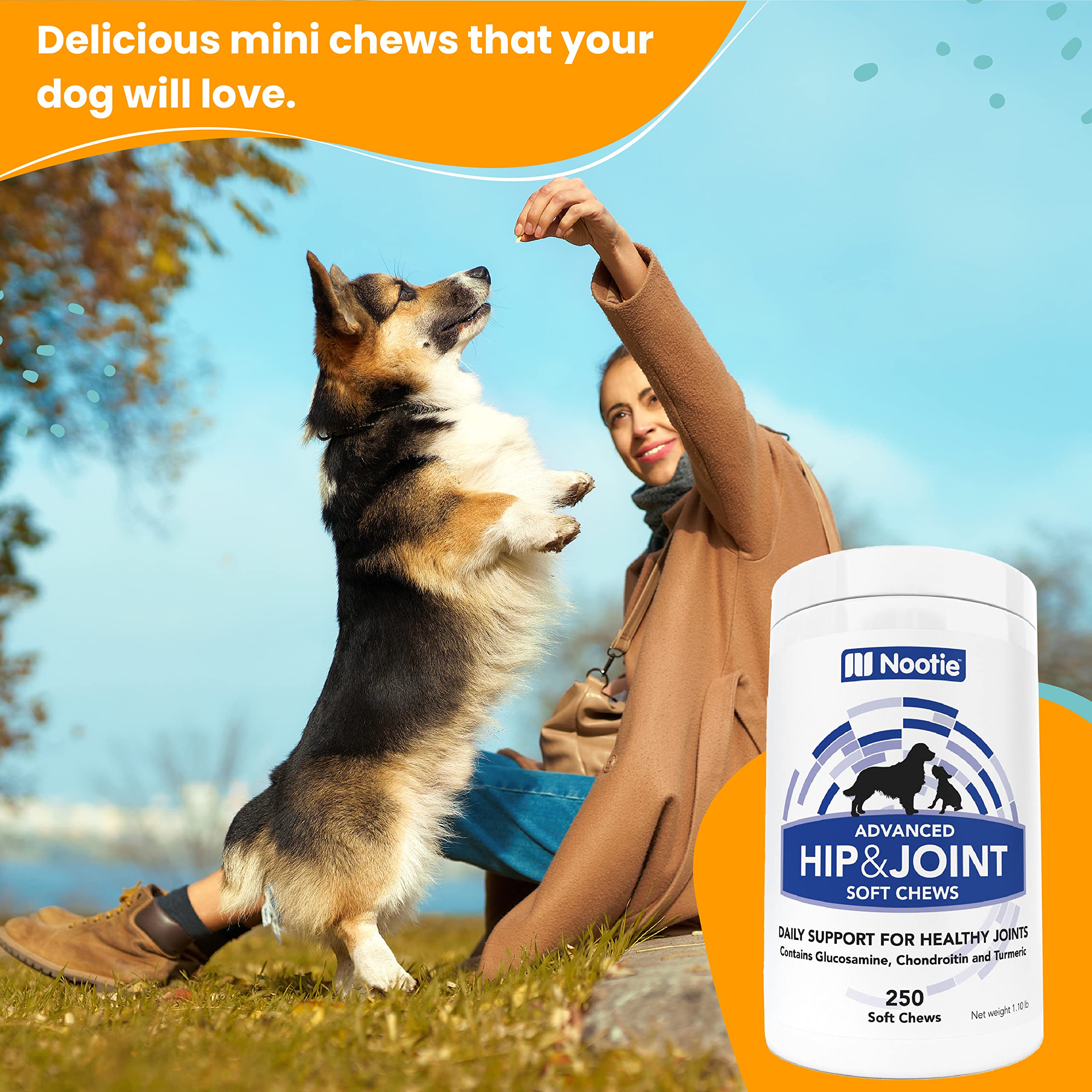 Nootie all-breeds joint care chews fit any size dog for daily routine
