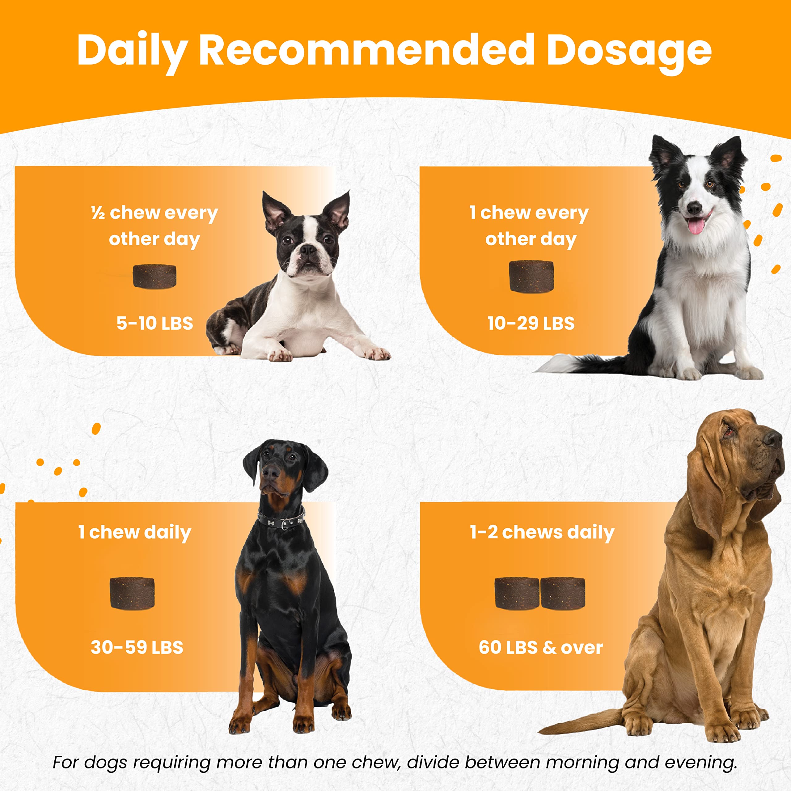 Nootie dog joint support chews promote comfortable movement during walks