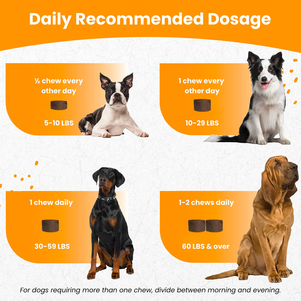 Nootie dog joint support chews promote comfortable movement during walks