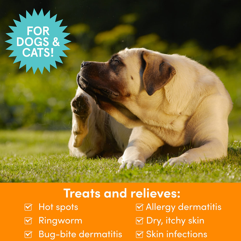 Nootie medicated pet spray between baths provides quick relief.