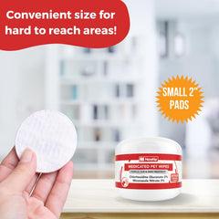 Nootie medicated wipes application on dog's paw demonstrates easy hygiene between baths
