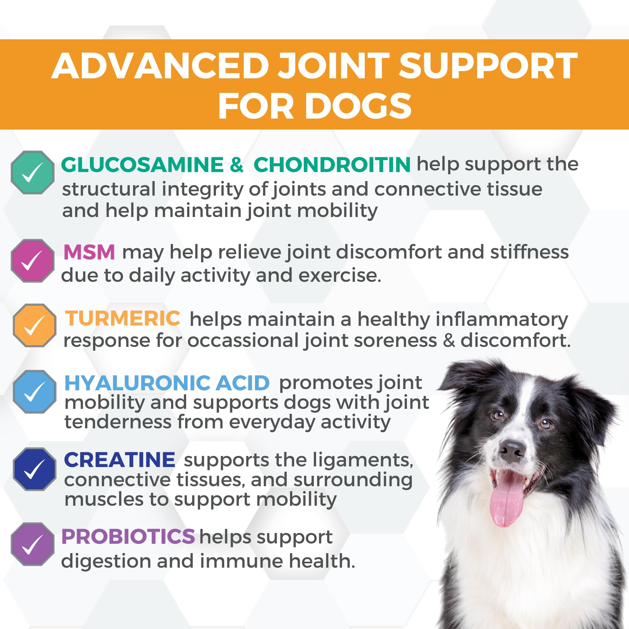 Nootie Progility bottle-front-label highlighting ingredients and vet-grade formulation.