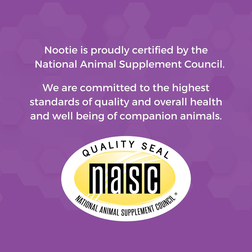 Nootie Progility calming chews integrated into a dog's daily routine