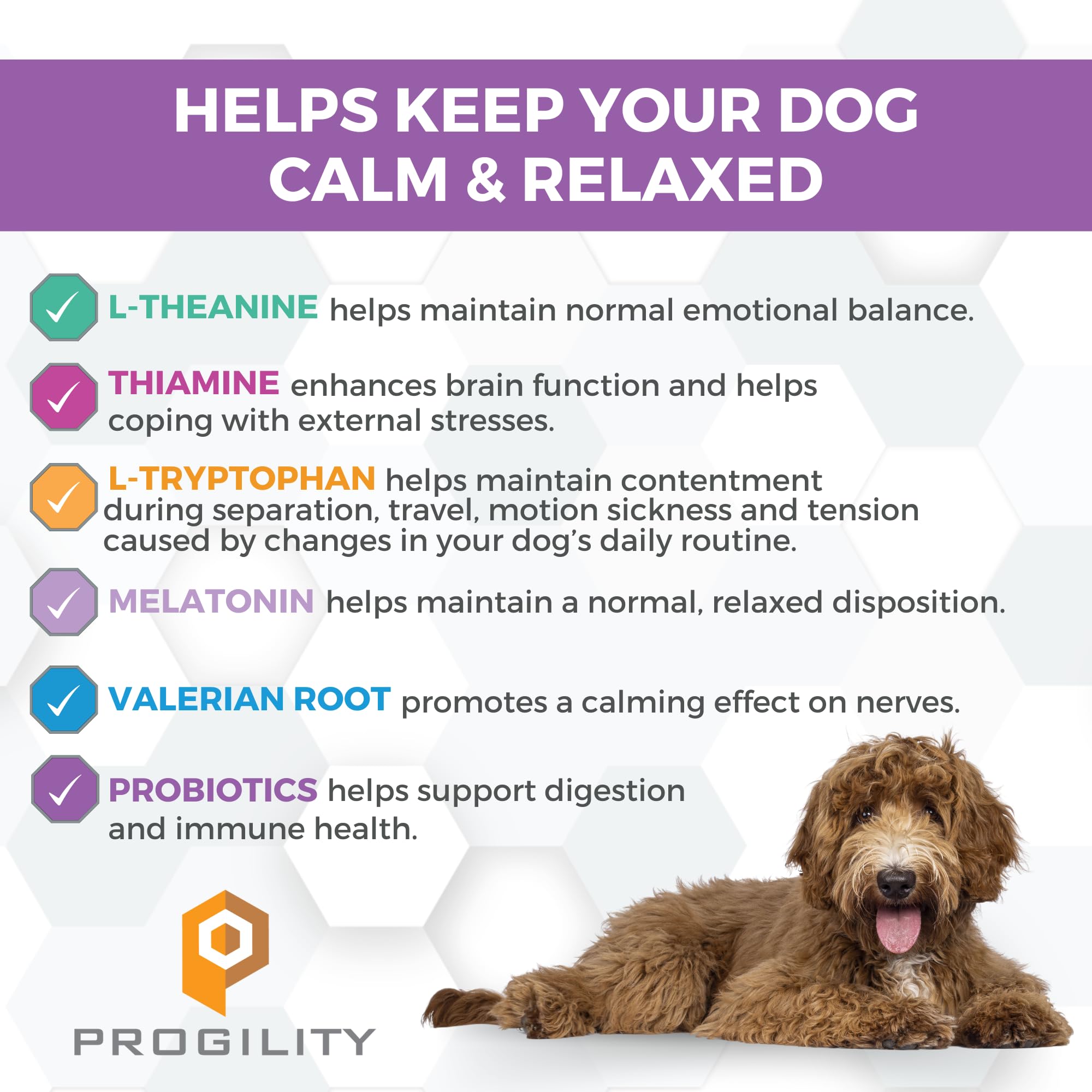 Closeup of Nootie Progility dog treats highlighting soft texture and flavor