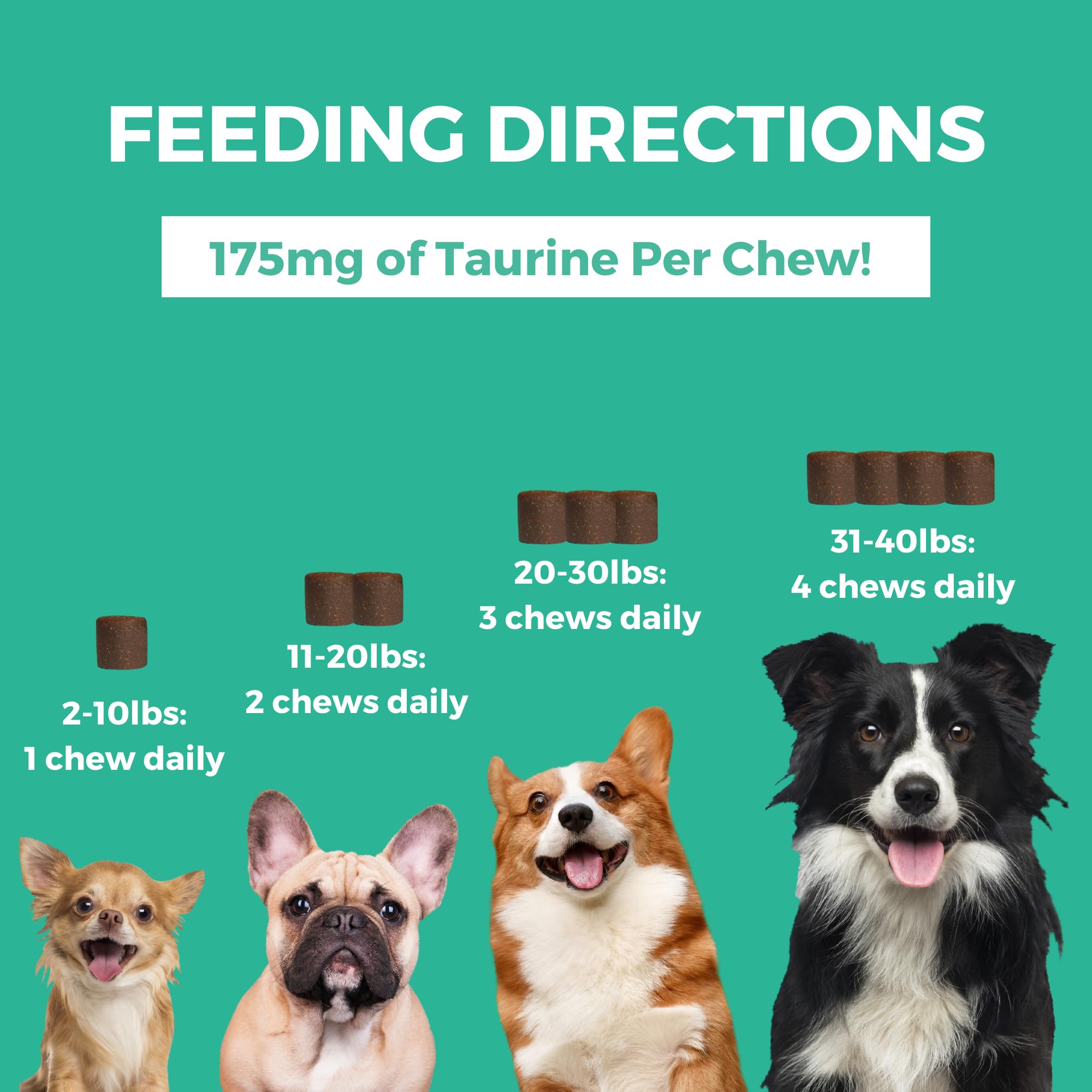 Nootie Progility dispensing action, supports daily heart and immune health.