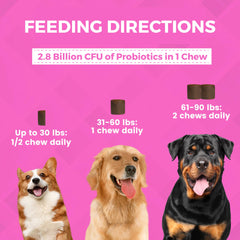 Nootie Progility digestive health illustration demonstrates probiotics aiding gut balance