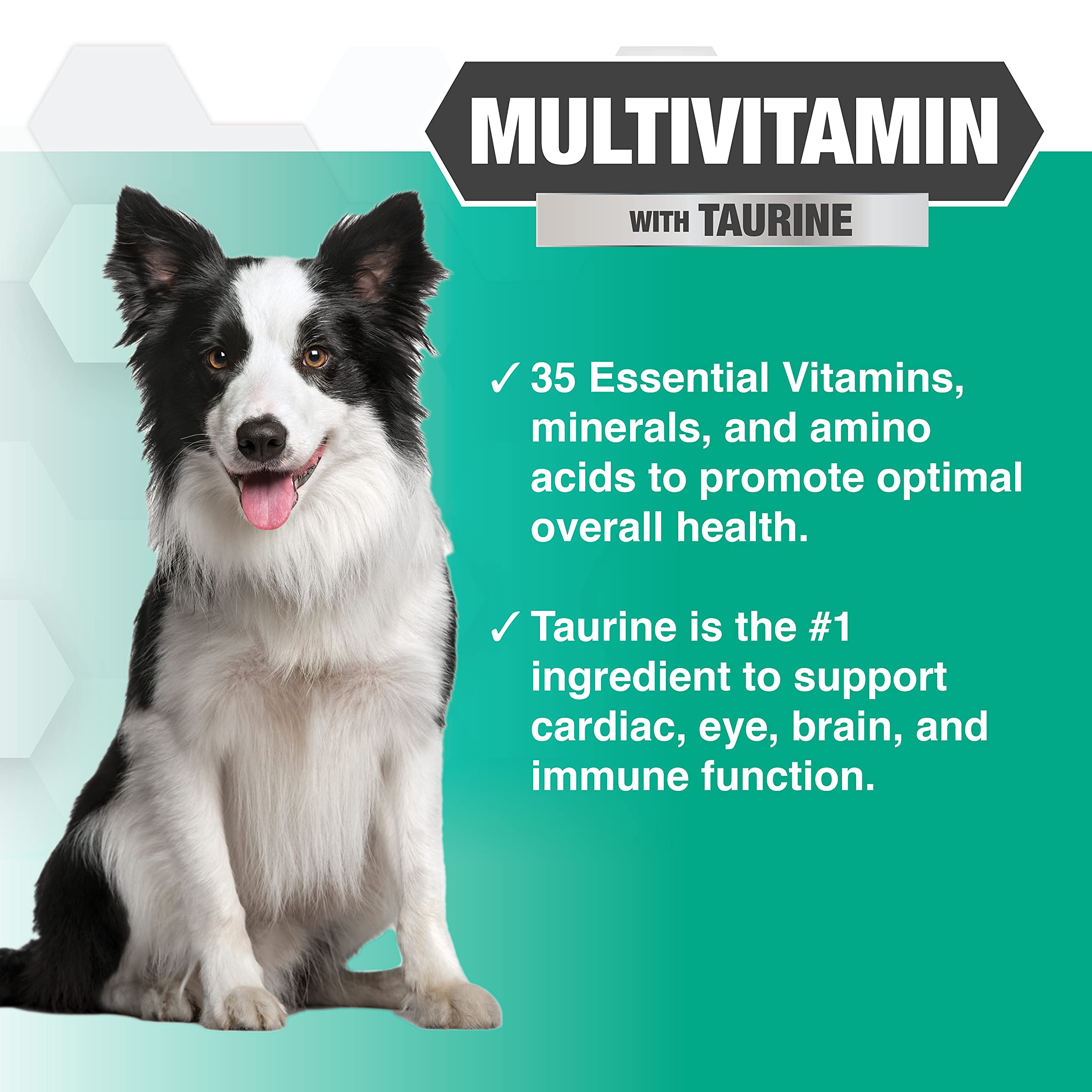 Nootie PROGILITY dog enjoying a chew demonstrates a tasty wellness treat