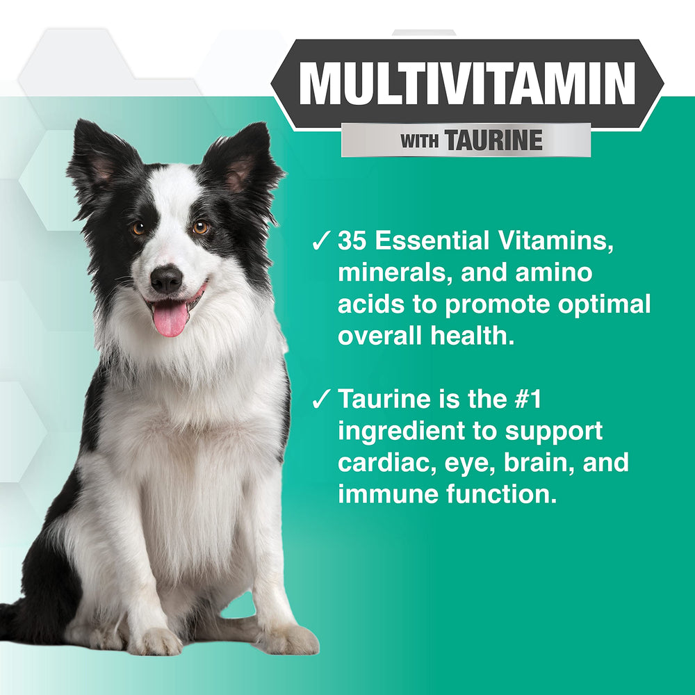 Nootie PROGILITY dog enjoying a chew demonstrates a tasty wellness treat