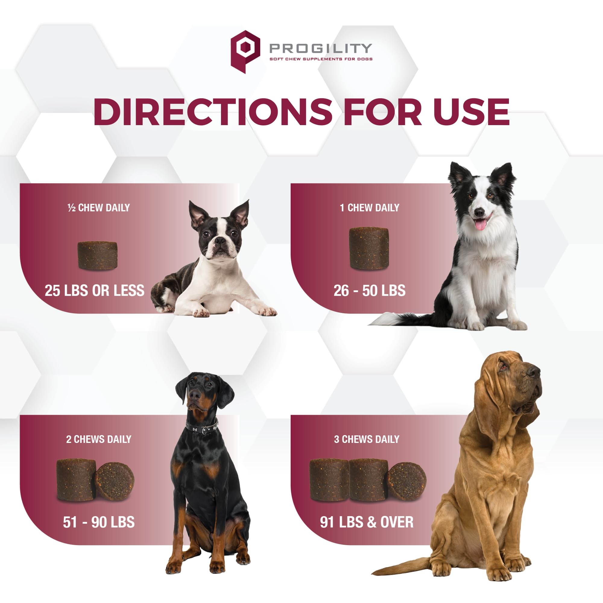 Nootie Progility dog happily enjoys a treat while supporting urinary health.