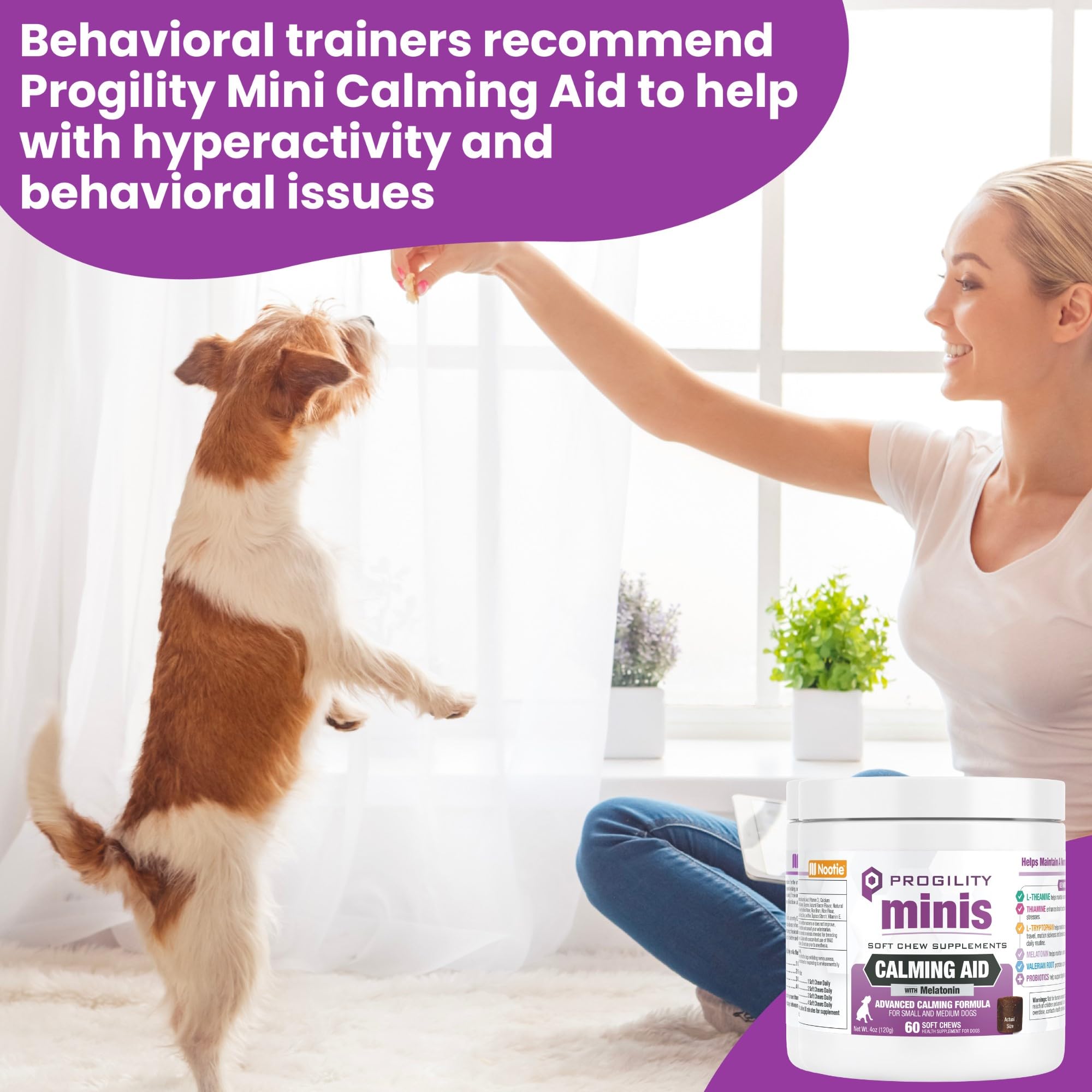 Dog relaxed and ready for travel after taking Nootie Progility Mini calming chews