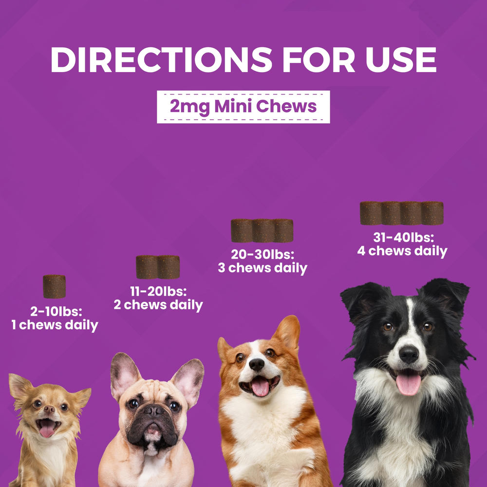 Nootie Progility Mini chews packaging front highlighting calming formula