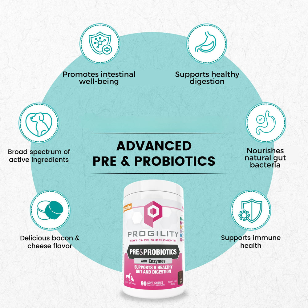 Nootie Progility soft chews closeup ingredients highlight pumpkin for digestion support