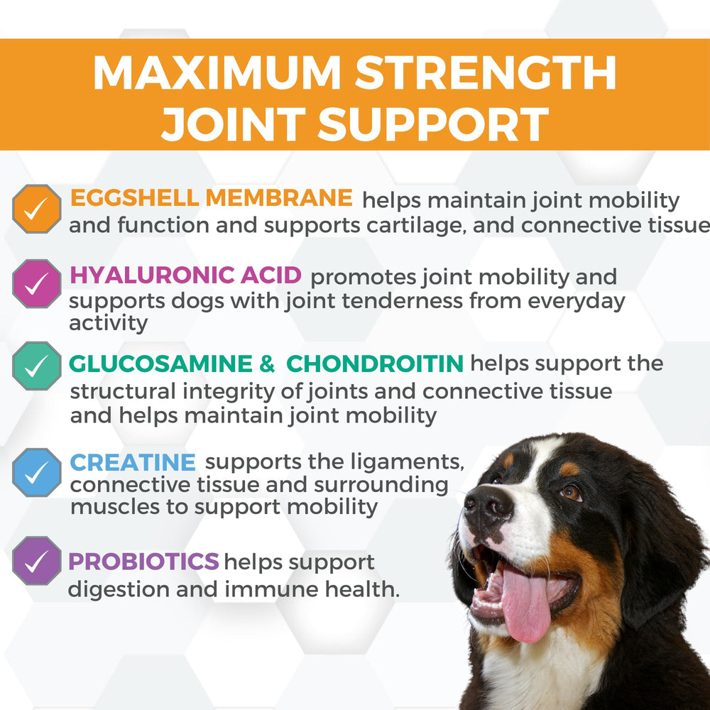 Nootie ProgilityMAX eggshell membrane highlights connective tissue support ingredient