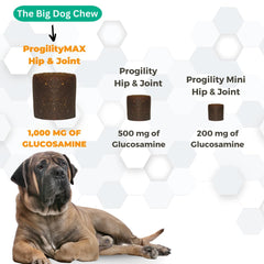 Nootie ProgilityMAX glucosamine and chondroitin emphasize cartilage and tissue support