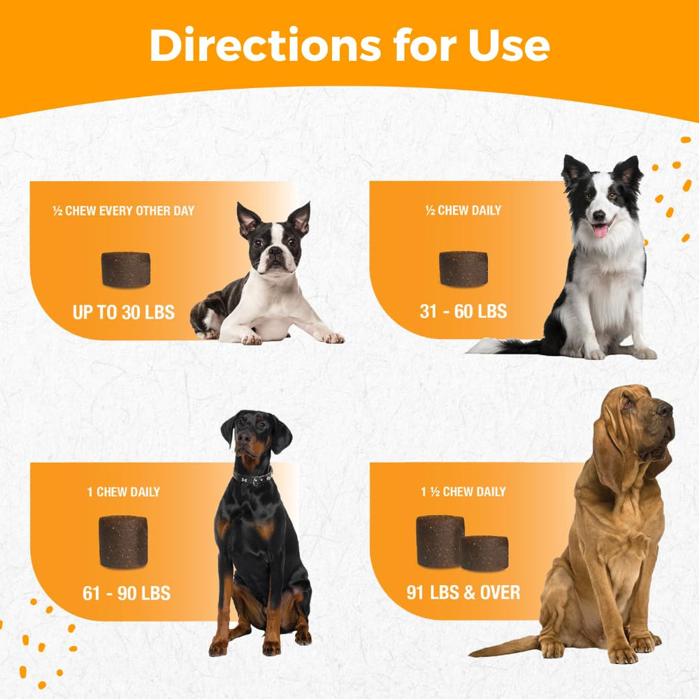 Nootie ProgilityMAX promotes active days and comfortable movement for large dogs