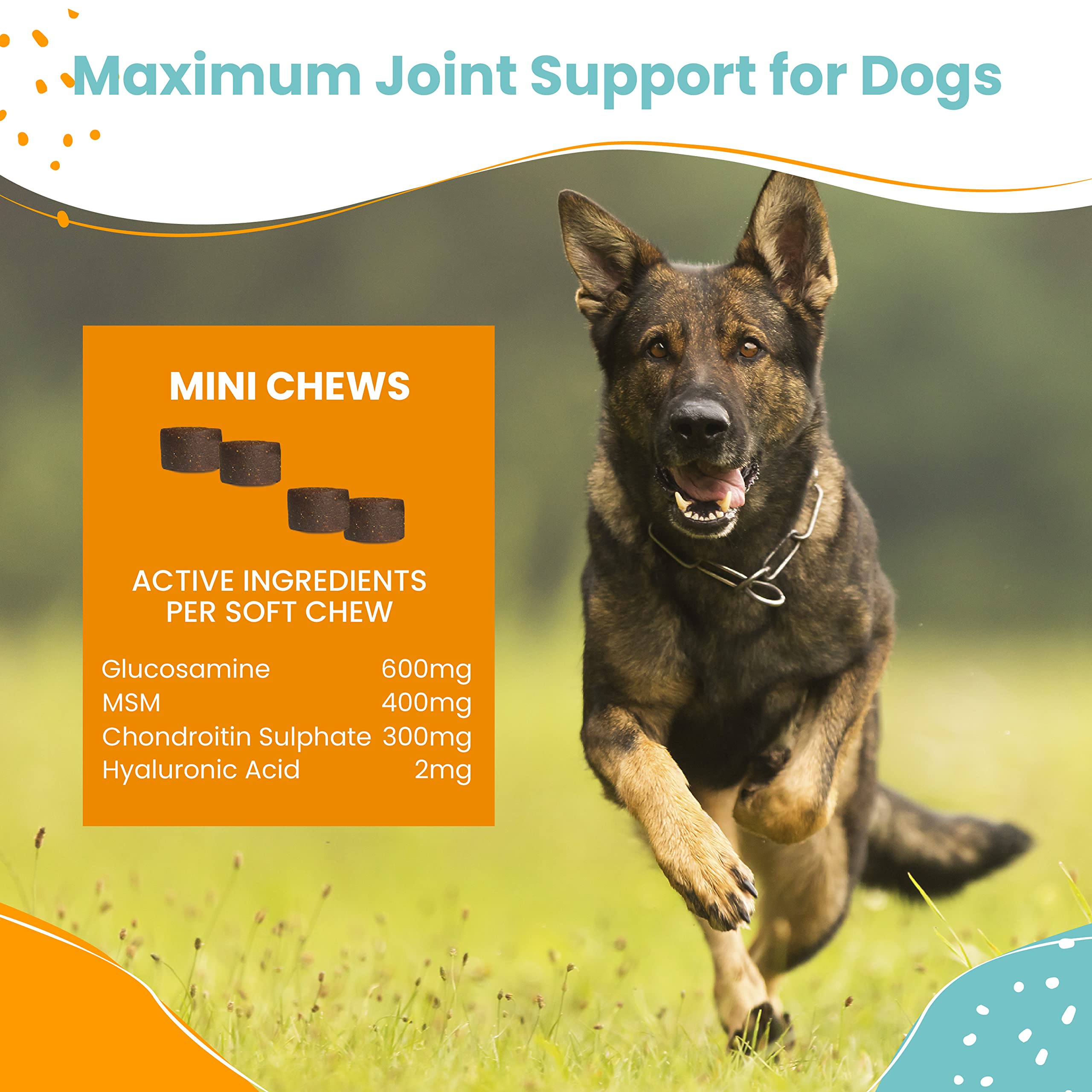 Nootie turmeric dog joint supplement provides antioxidant-friendly support for active pups