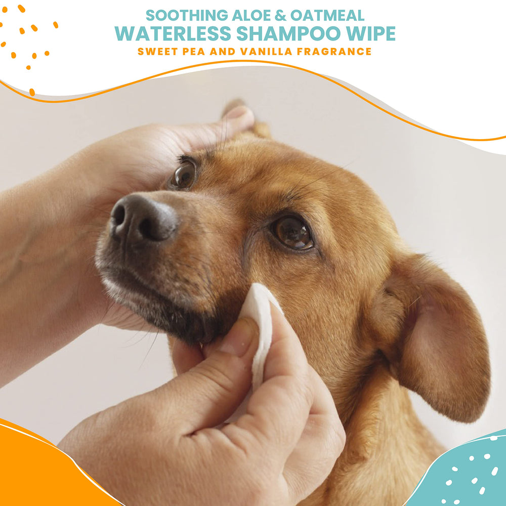 Nootie Waterless Shampoo Wipes dog paws after outdoor play for fast dirt removal