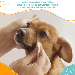 Nootie Waterless Shampoo Wipes dog paws after outdoor play for fast dirt removal