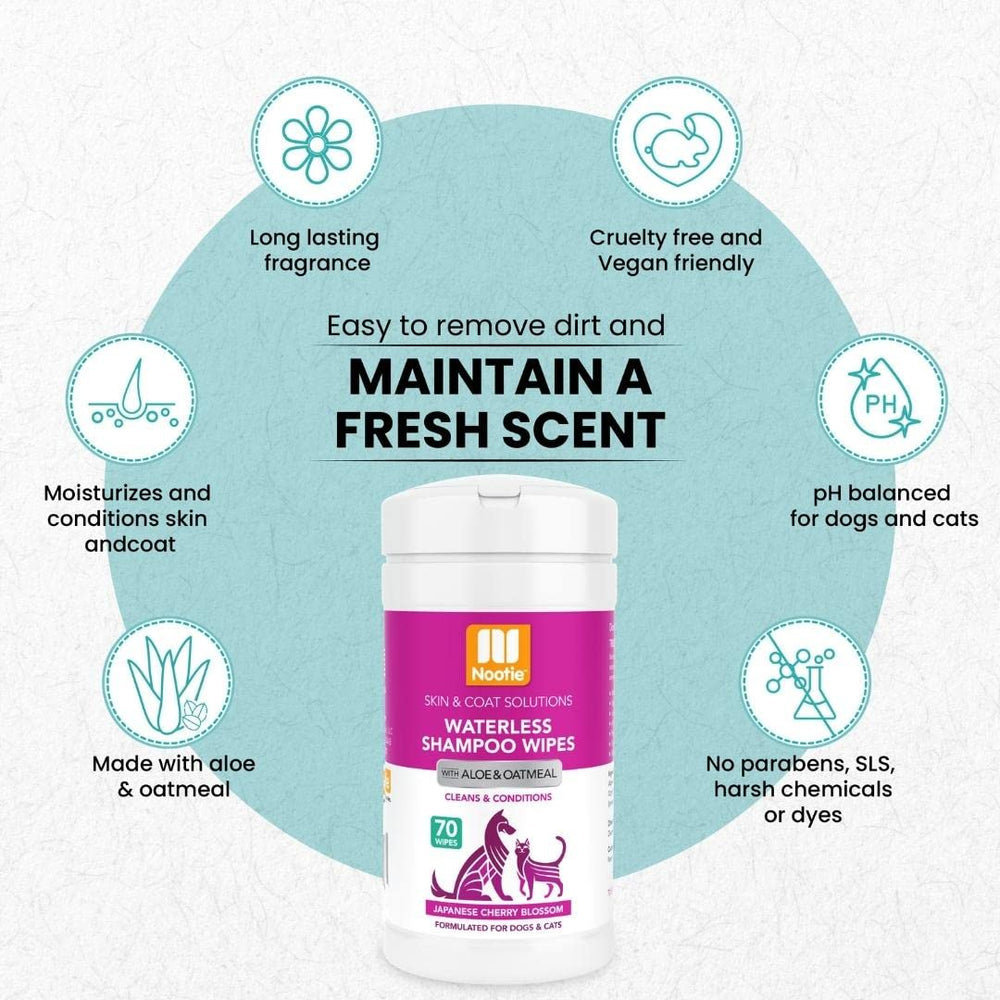 Cat care moment with Nootie wipes for between-bath refreshing