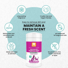 Cat care moment with Nootie wipes for between-bath refreshing